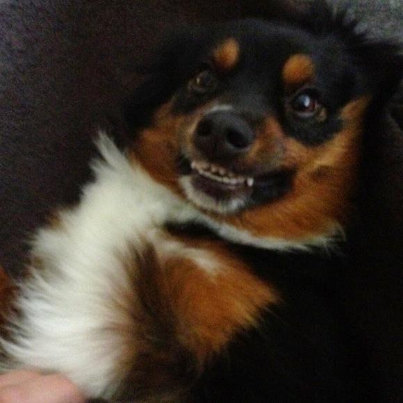 monybabp